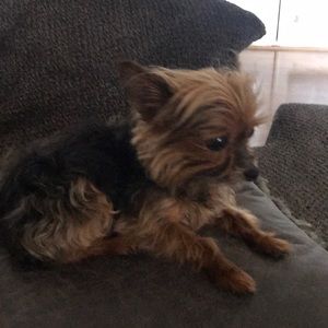 Meet your Posher, Derek